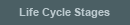 Life Cycle Stages
