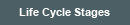 Life Cycle Stages